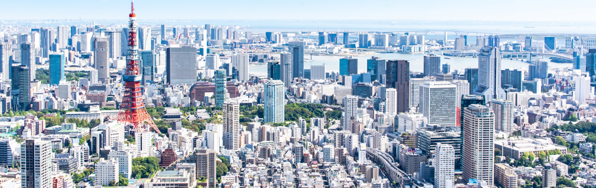 東京都マンション管理士会　都心区支部